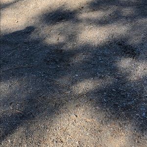 Meet your Posher, Jake